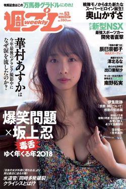 家有儿女新传